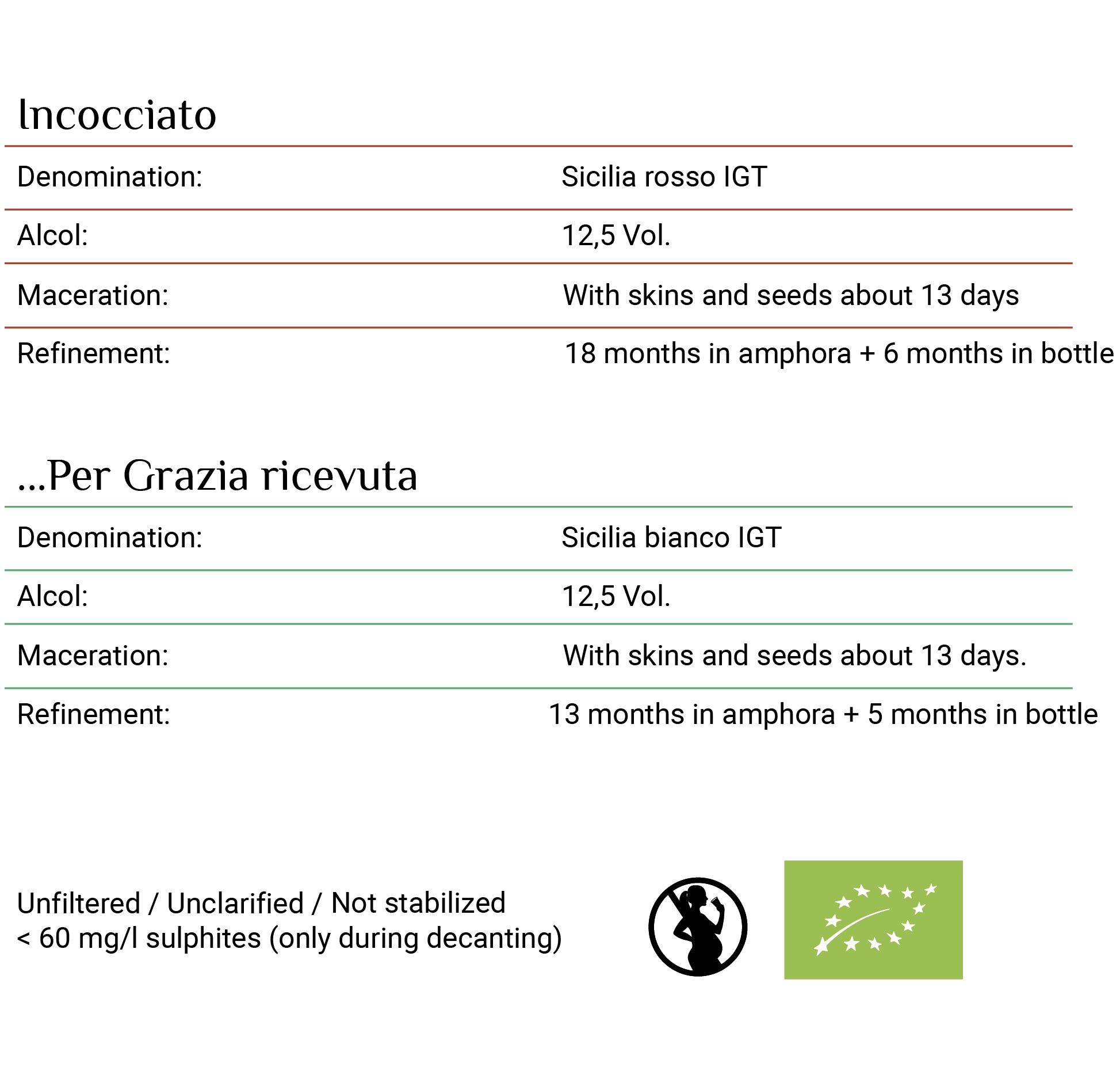 Scheda Tecnica Anfora